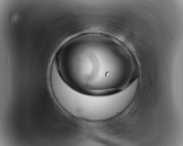 X0000088871392200706151746