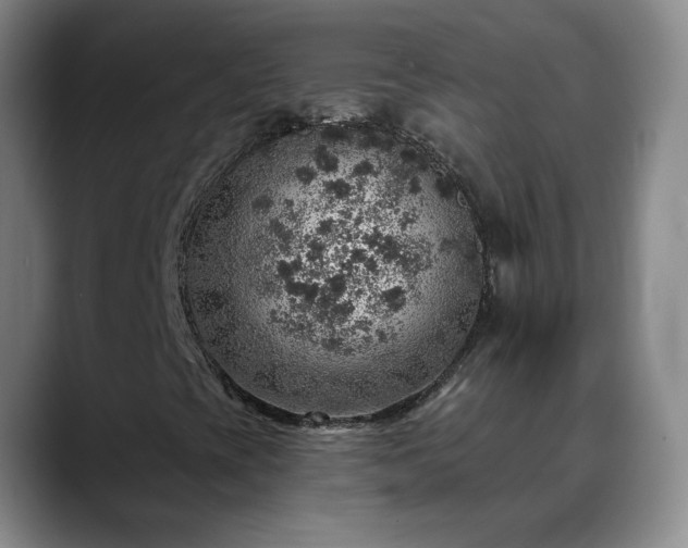 X0000088871393200706151745