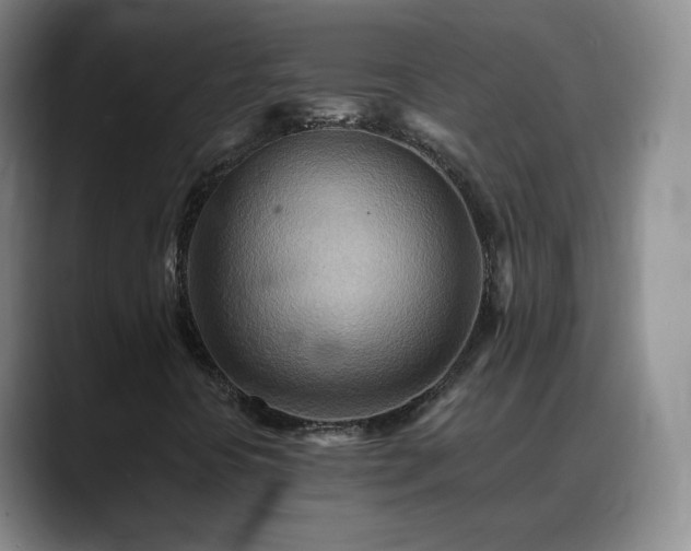 X0000088871394200706151745