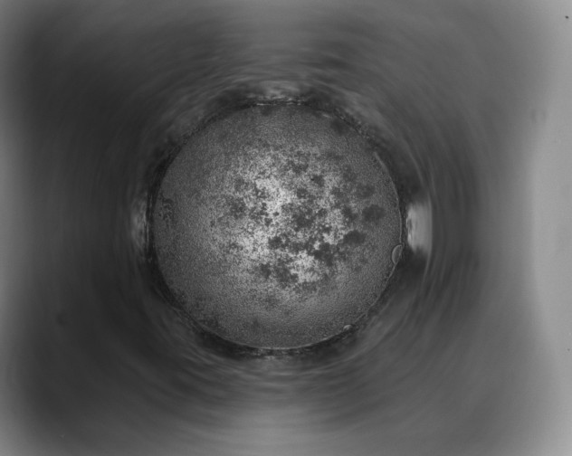 X0000088871395200706151745