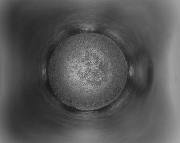 X0000088871396200706151745