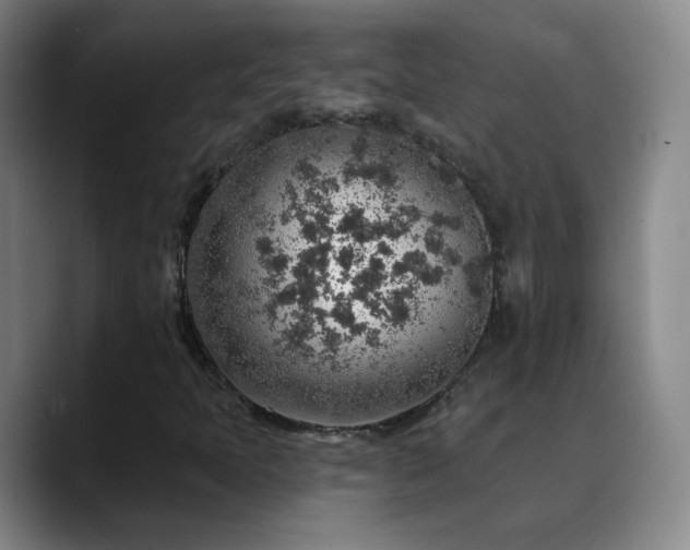 X0000088871397200706151745