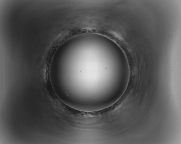 X0000088871398200706151745