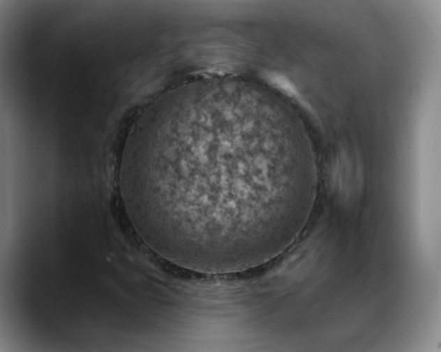 X0000088871399200706151745
