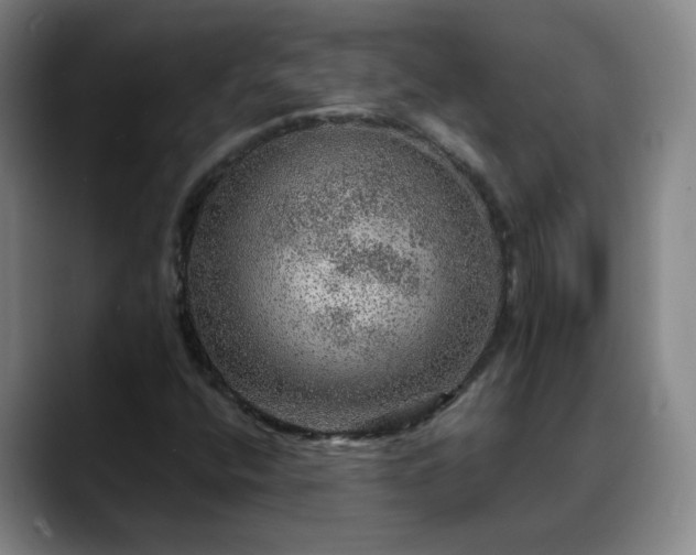 X0000088871400200706151745
