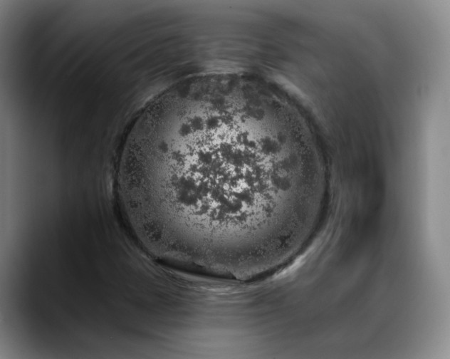 X0000088871401200706151745