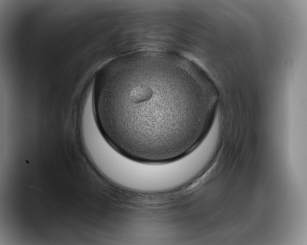 X0000088871402200706151745