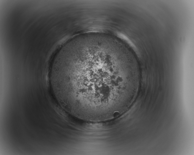X0000088871403200706151745