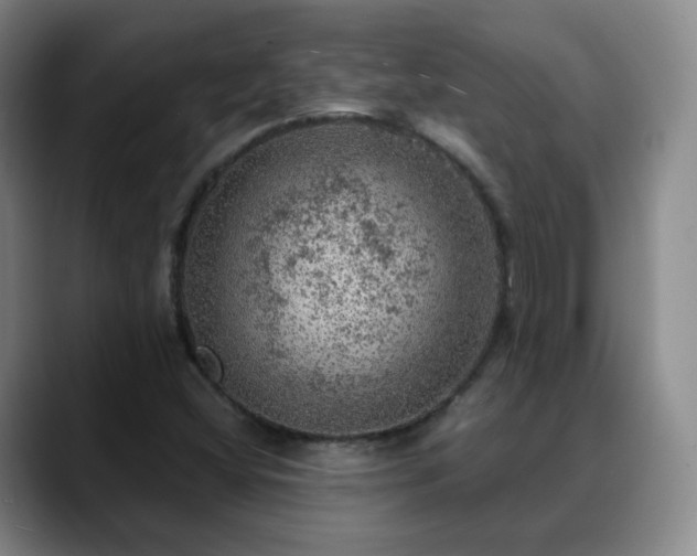 X0000088871404200706151745