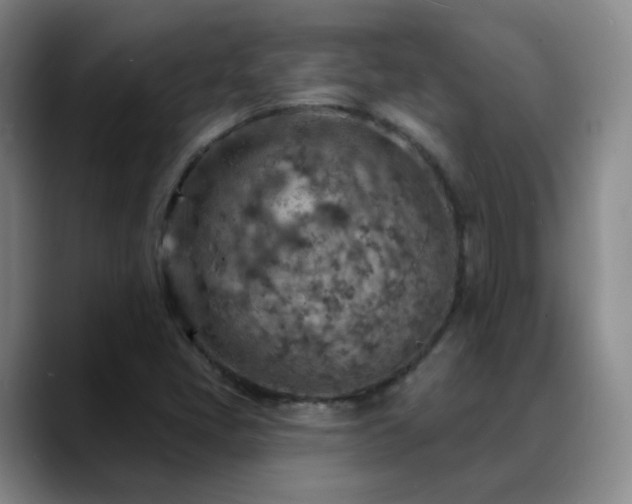 X0000088871405200706151745