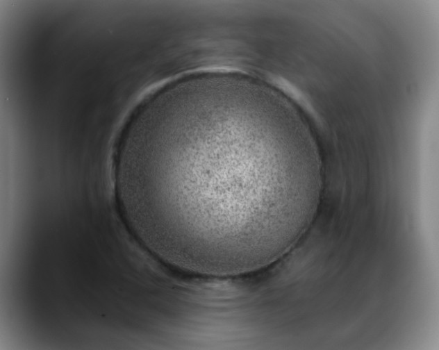 X0000088871408200706151745