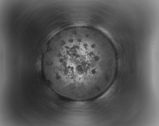 X0000088871409200706151745