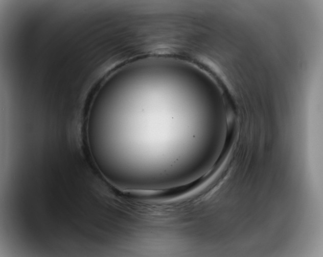 X0000088871410200706151745