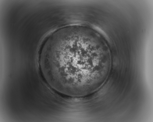 X0000088871411200706151745