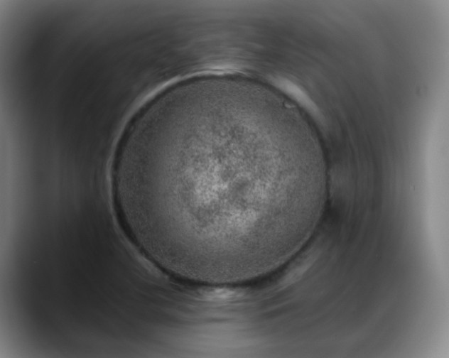 X0000088871412200706151745