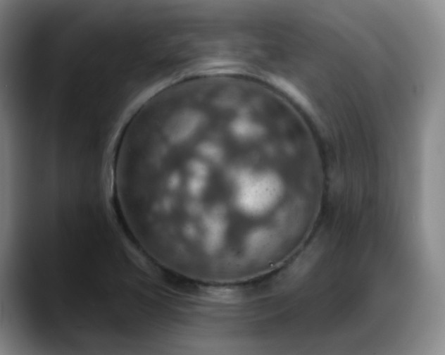 X0000088871413200706151745