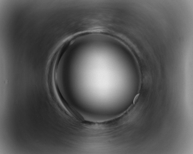 X0000088871414200706151745