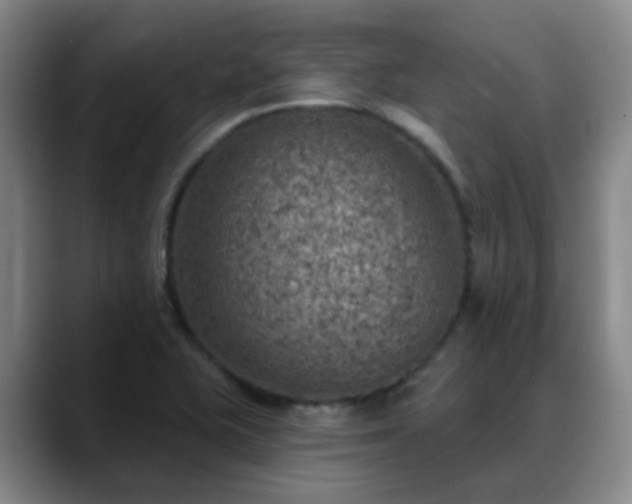 X0000088871415200706151745
