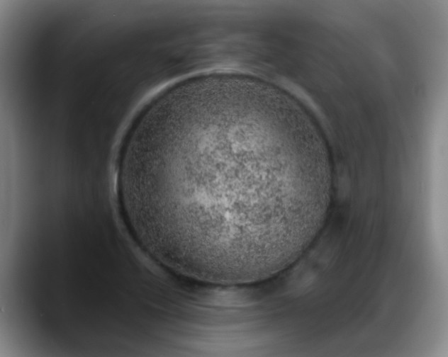 X0000088871416200706151745