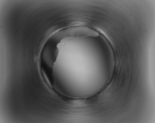 X0000088871418200706151745