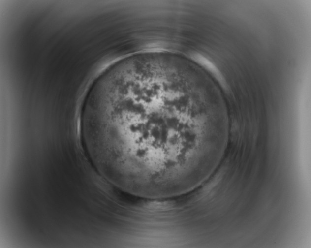 X0000088871419200706151745