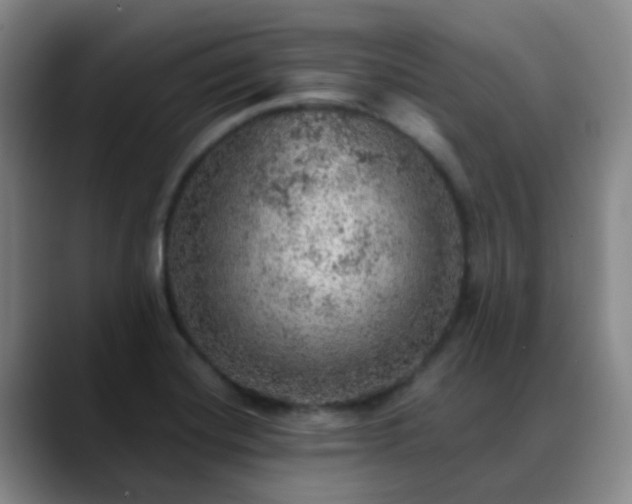 X0000088871420200706151745