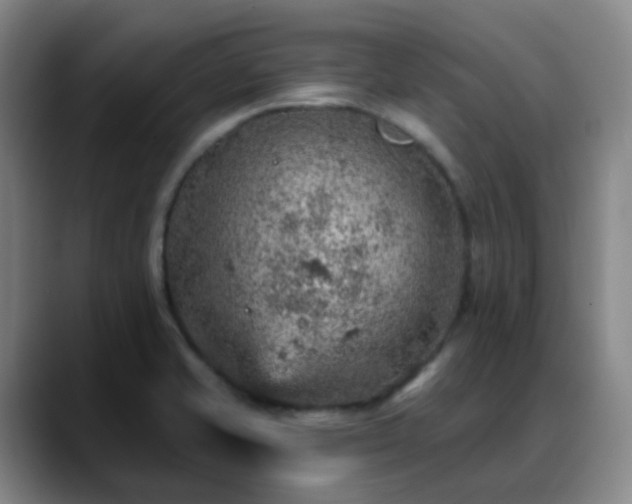 X0000088871421200706151745