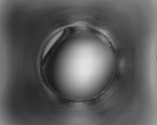 X0000088871422200706151745