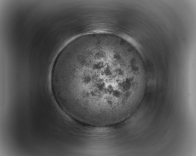 X0000088871423200706151745