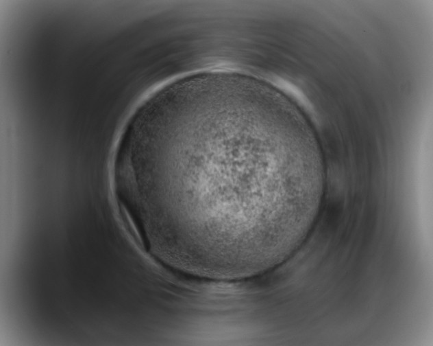 X0000088871424200706151745