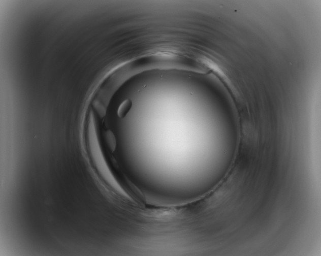 X0000088871426200706151745