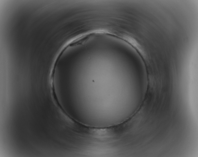 X0000088871428200706151745