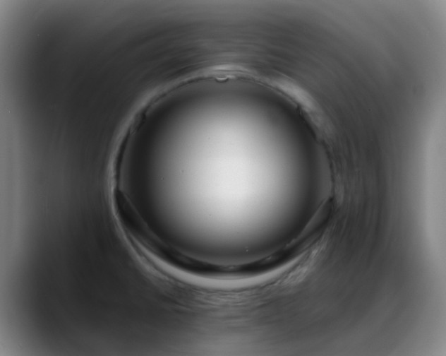 X0000088871430200706151745