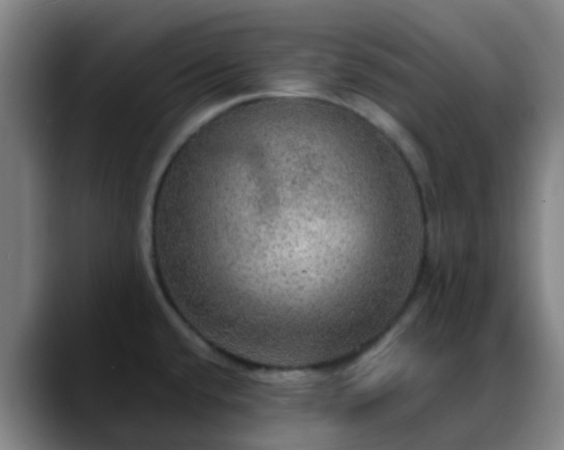 X0000088871432200706151745