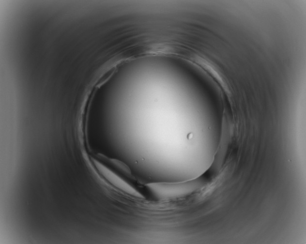 X0000088871434200706151745