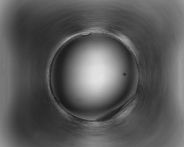 X0000088871438200706151745