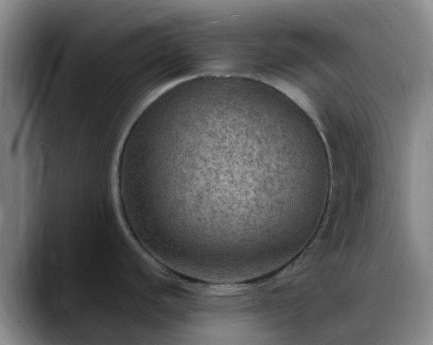 X0000088871440200706151746