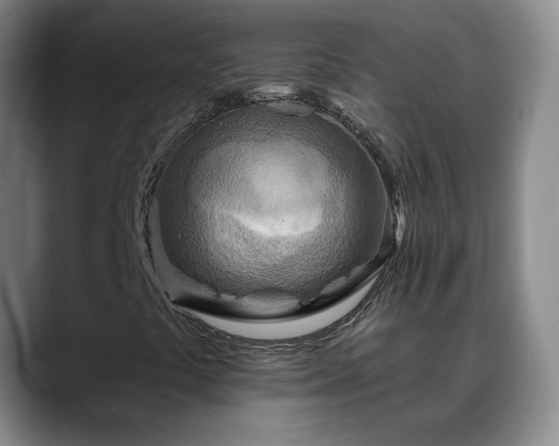 X0000088871441200706151745