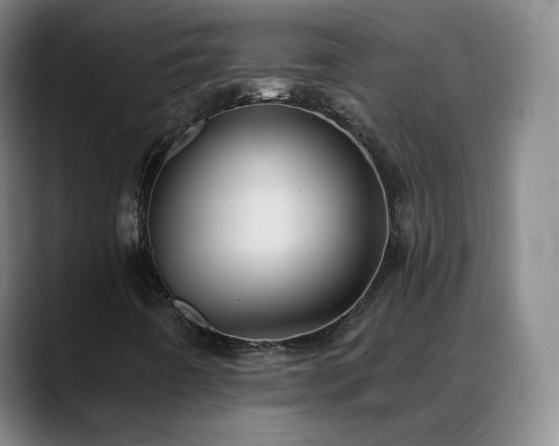 X0000088871442200706151745