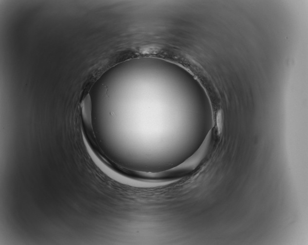 X0000088871443200706151745