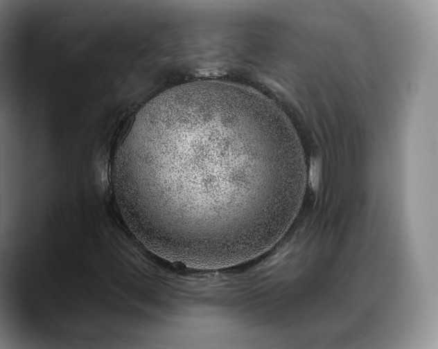 X0000088871444200706151745