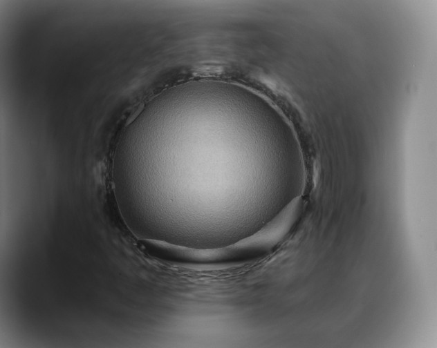 X0000088871445200706151745