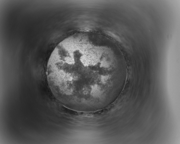 X0000088871446200706151745
