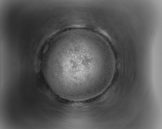 X0000088871448200706151745