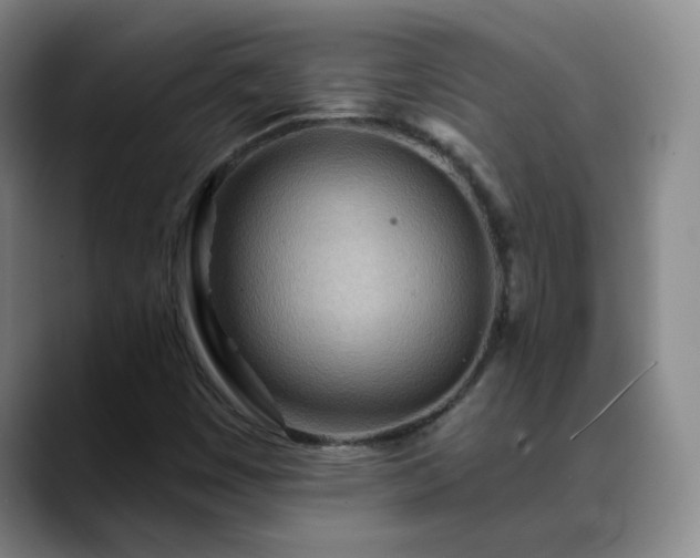 X0000088871449200706151745