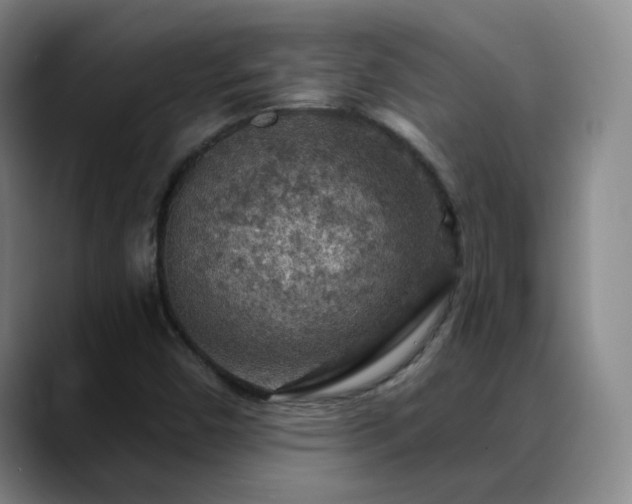 X0000088871450200706151745