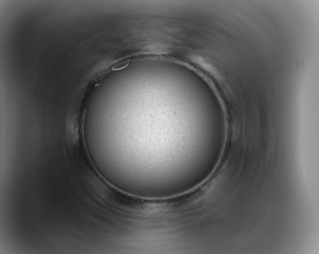 X0000088871451200706151745