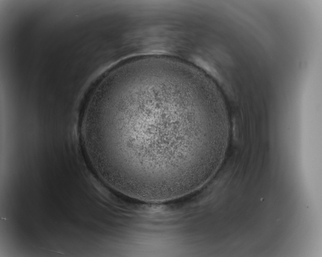 X0000088871452200706151745