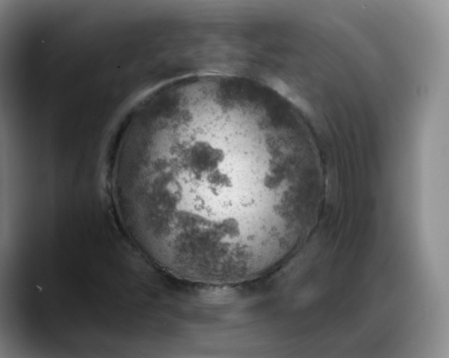 X0000088871454200706151745