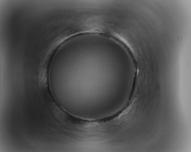 X0000088871455200706151745